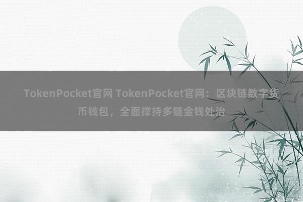 TokenPocket官网 TokenPocket官网：区块链数字货币钱包，全面撑持多链金钱处治